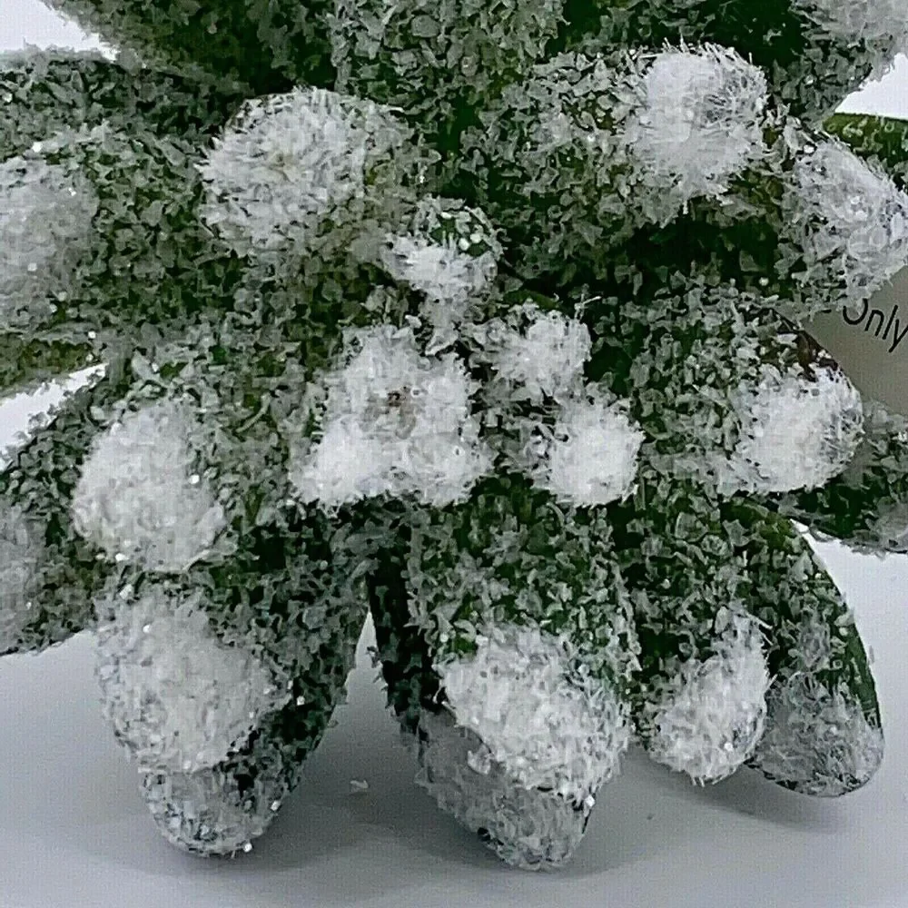 Craft Succulent Winter Frosted Glitter Snow Christmas Craft Plants 3.5″ Lot Of 3